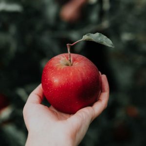 What is Lorem Ipsum - Dummy Content